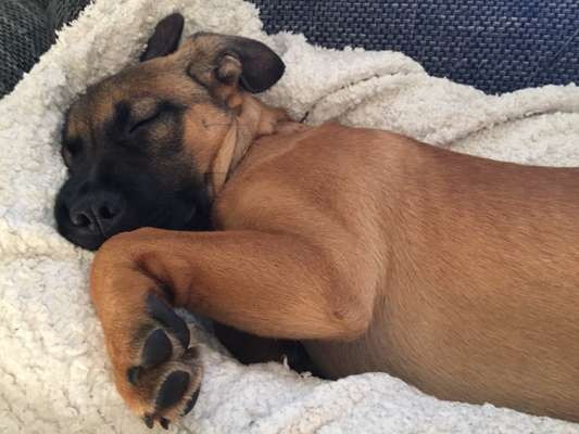 Schlafzeit!💖-Beitrag-Bild