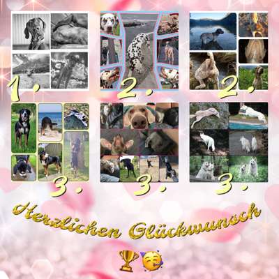 53. Collage Challenge - Verschiedene Blickwinkel-Beitrag-Bild