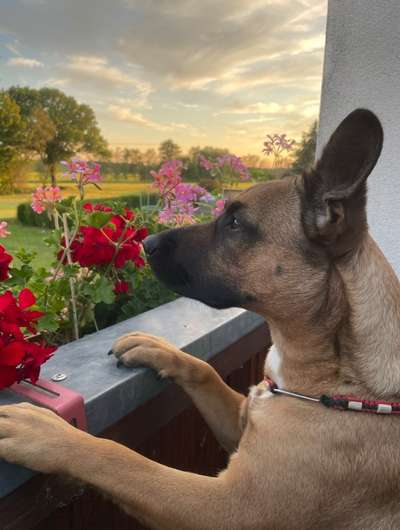 Fotowettbewerb zum Thema "Sonne"-Beitrag-Bild