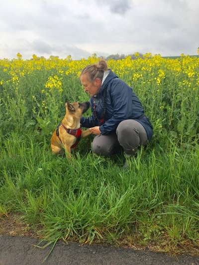 FOTOCHALLENGE 45: Dein Hund und Du - ein eingespieltes Team-Beitrag-Bild