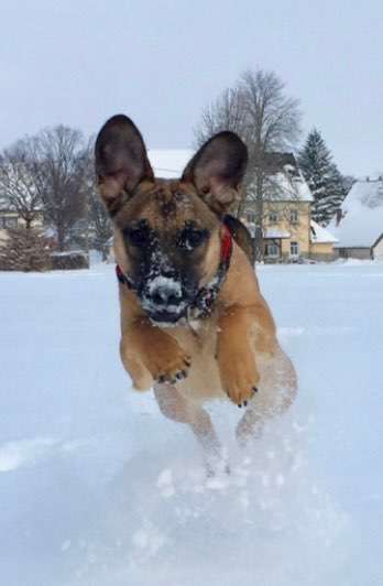 Schnee Foto-Beitrag-Bild
