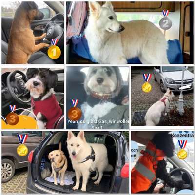 2.Kurzgeschichten Challenge Thema: Autofahren-Beitrag-Bild