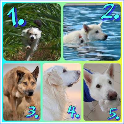 19. Farben  Fottochallenge :
Lieblingsfarbe-Beitrag-Bild