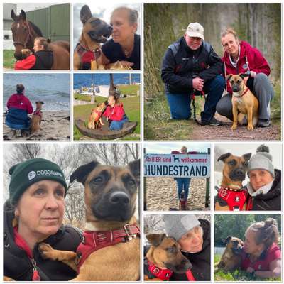 21. Collage Challenge 
Du und dein Hund-Beitrag-Bild