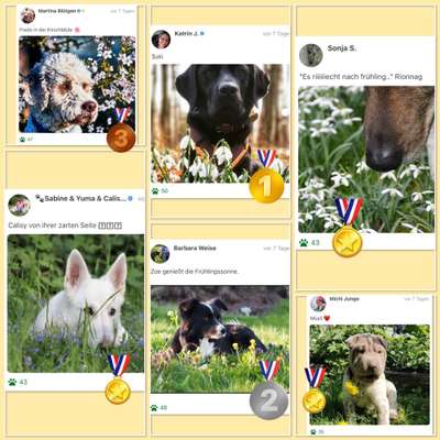 Fotochallenge Nr. 126-Beitrag-Bild