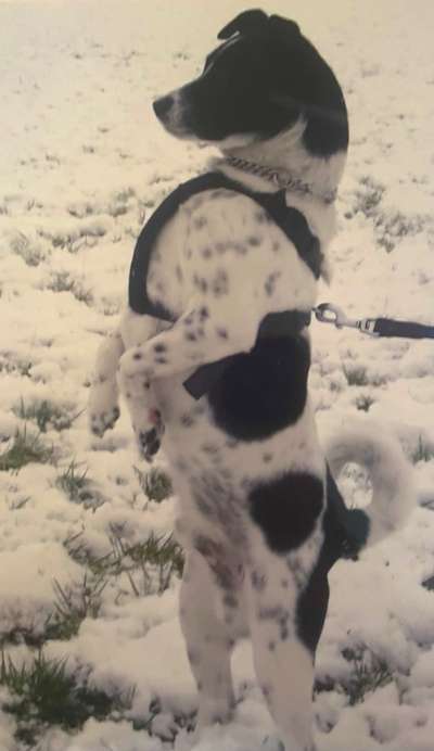 34. Farben-Challenge: Punkte - Punkte - Pünktchen-Beitrag-Bild