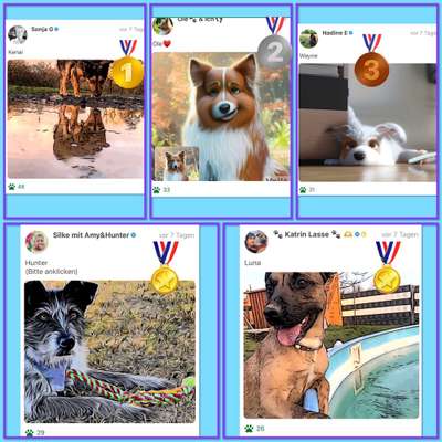 Fotochallenge 124 - Dein Comic-Hund-Beitrag-Bild