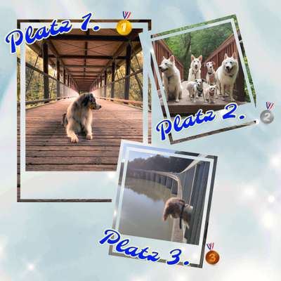 Foto Challenge Thema "Brücke"-Beitrag-Bild