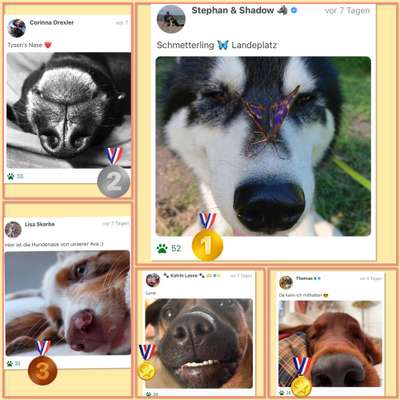 42. Handy Fotochallenge - Den richtigen Riecher haben-Beitrag-Bild