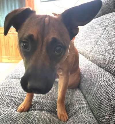 Bettel Blicke-Beitrag-Bild