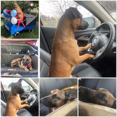 2.Kurzgeschichten Challenge Thema: Autofahren-Beitrag-Bild