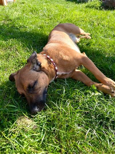 Foto Challenge Nr. 134-Beitrag-Bild