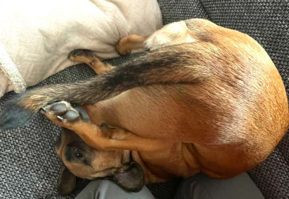 Fotochallange - Eingekugelt-Beitrag-Bild