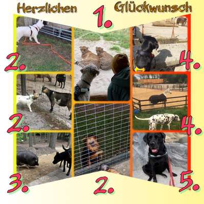 54. Handy Foto Challenge - Zoo Besuch-Beitrag-Bild