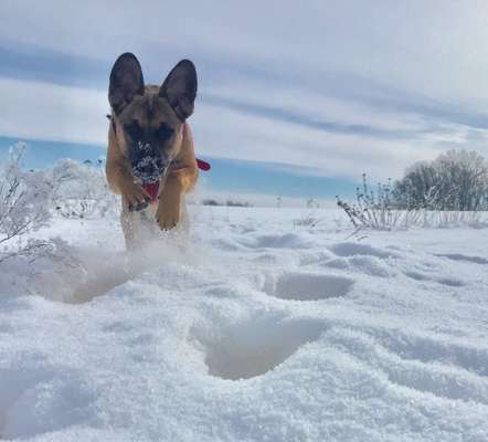 Profifoto Challenge No1 Winter, Schnee-Beitrag-Bild