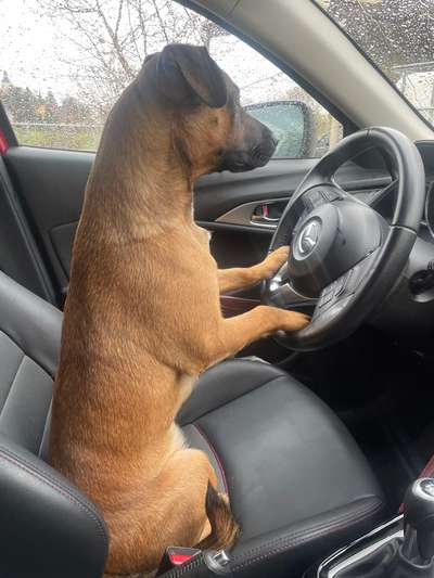 117. Fotochallenge-Beitrag-Bild