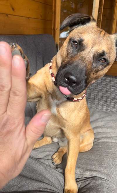 25. Handy Foto Challenge-Beitrag-Bild