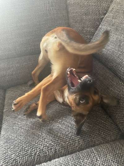 Lustige Grimassen & verrückte Posen-Beitrag-Bild