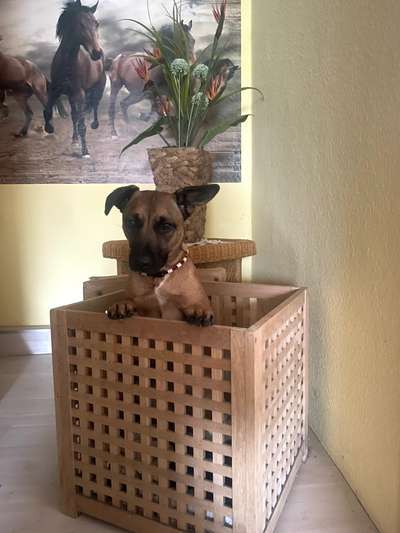 121. Fotochallenge-Beitrag-Bild