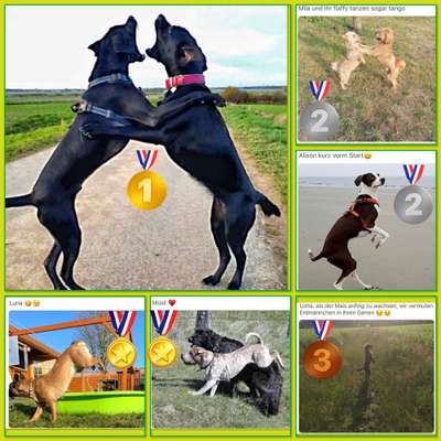 45. Handy - Foto - Challenge-Beitrag-Bild