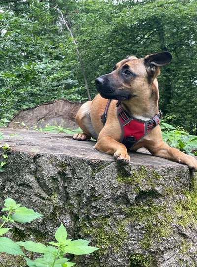 Foto Challenge Nr. 79-Beitrag-Bild