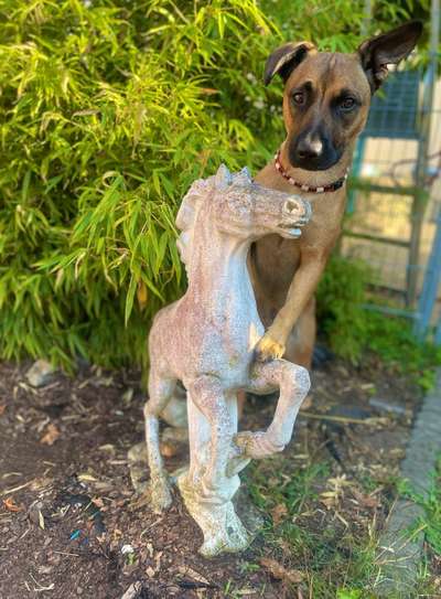 20. Kurzgeschichten Challenge: Märchen-Beitrag-Bild