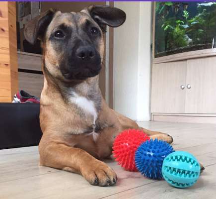 Handy-Foto-Challange Nr. 8-Beitrag-Bild