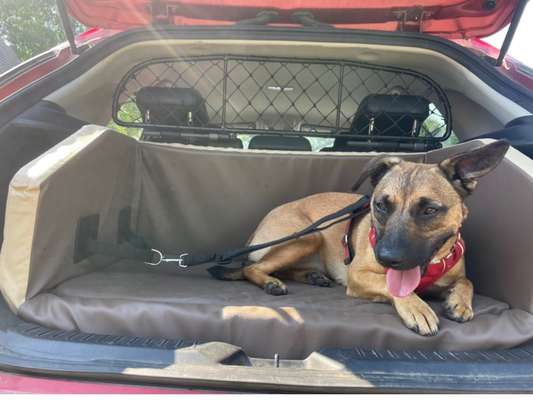 117. Fotochallenge-Beitrag-Bild