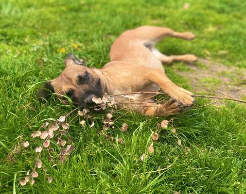 Foto Challange Nr.80-Beitrag-Bild