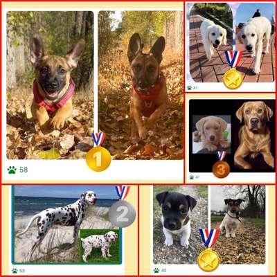 28. Handy-Fotochallenge - Damals und heute-Beitrag-Bild