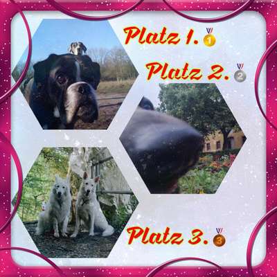 154. FotoChallenge * AUFS BILD GEMOGELT *-Beitrag-Bild