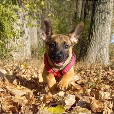 28. Handy-Fotochallenge - Damals und heute-Beitrag-Bild