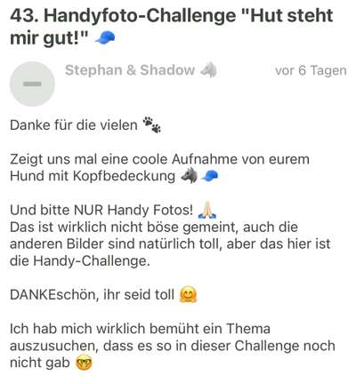 44. Handy Foto Challenge - Arbeitshunde-Beitrag-Bild