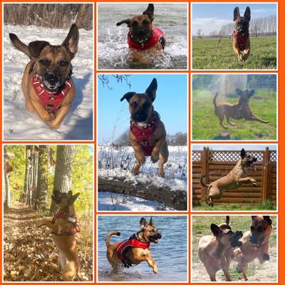 22. Collagen Challenge- Lebensfreude-Beitrag-Bild