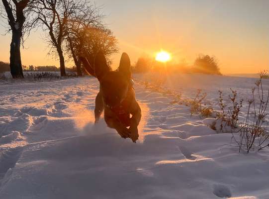 18. Farben Fotochallenge: Sonnenuntergang-Beitrag-Bild