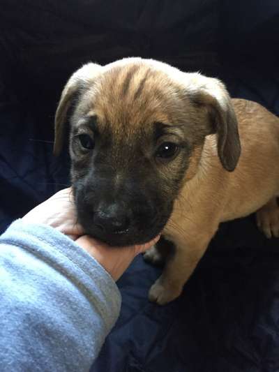 Das erste Foto-Beitrag-Bild