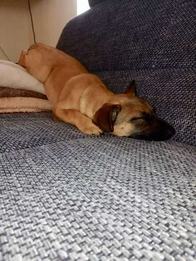 Fotowettbewerbe-Beitrag-Bild