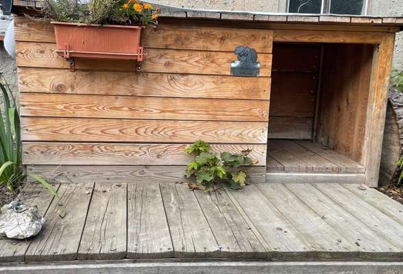 Upcycling - aus Alt mach Neu-Beitrag-Bild