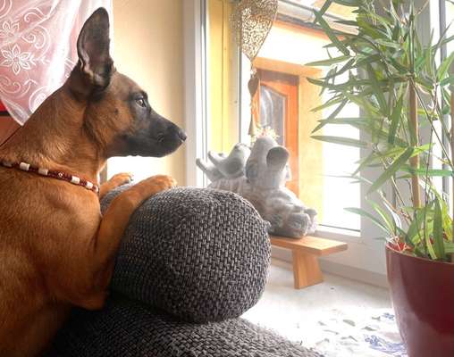 120. Fotochallenge-Beitrag-Bild