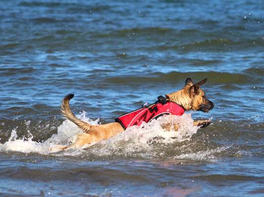 Eure schönsten Fotos mit Wasser-Beitrag-Bild