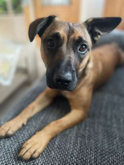 Lieblingsbild-Beitrag-Bild