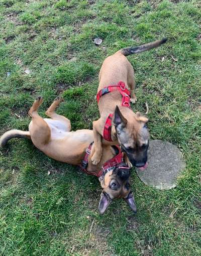 Fotochallenge 88-Beitrag-Bild