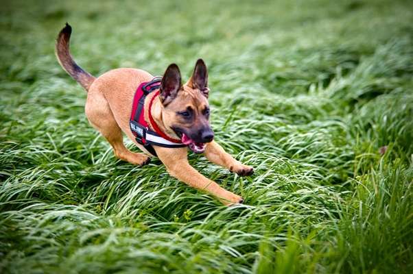 42.Fotochallenge - Eure schönen Momente beim Spaziergang-Beitrag-Bild