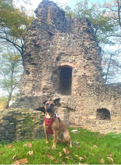 Dogorama Foto Challenge - Wanderziel-Beitrag-Bild