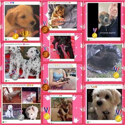 8. Kurzgeschichten Challenge 
Wie ich groß geworden bin-Beitrag-Bild