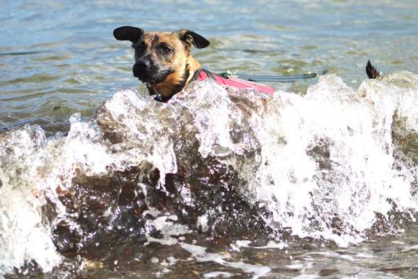 Eure schönsten Fotos mit Wasser-Beitrag-Bild