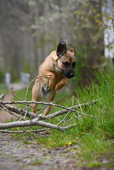 Foto Wettbewerb-Beitrag-Bild