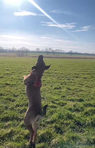 FOTOCHALLENGE 86-Beitrag-Bild