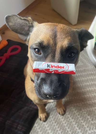 Fotochallenge Nr. 102: Futter balancieren-Beitrag-Bild