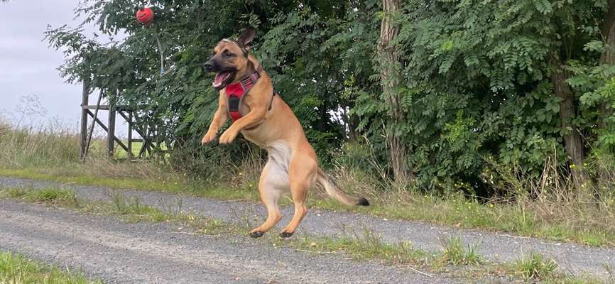 Fotochallenge Nr. 52 „Spring!“-Beitrag-Bild